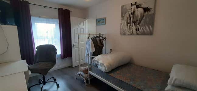 Good sized room with ensuite in quiet household  Main Photo