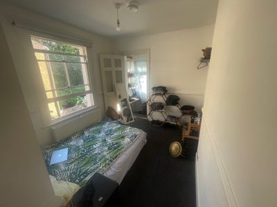 Bright room in Wood Green/Alexandra Palace!! Main Photo