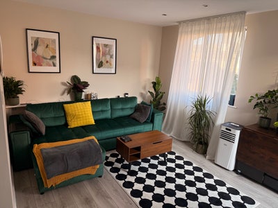 Room in a Rooftop flat in Westferry area  Main Photo