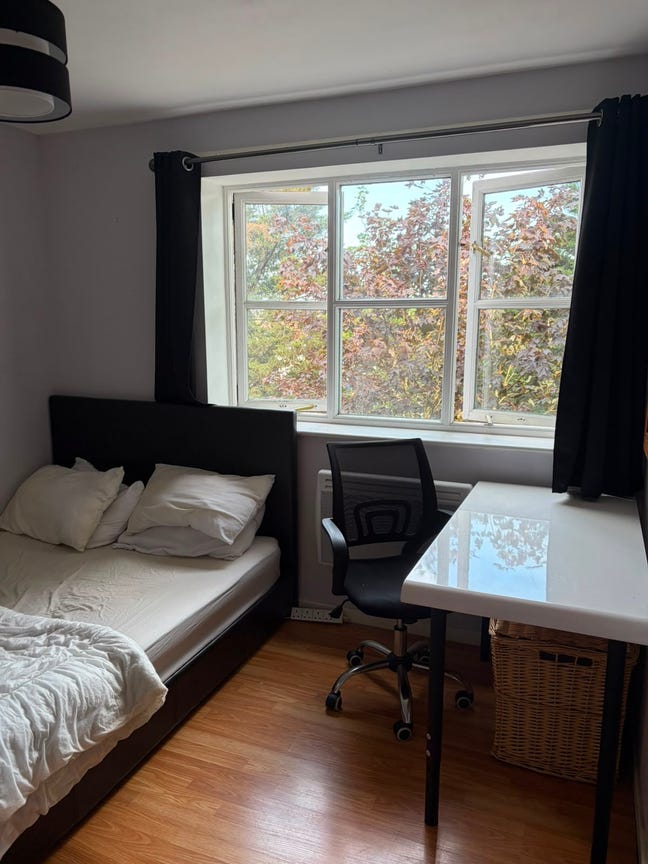 Furnished double room in a friendly shared flat Main Photo