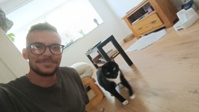 Hello I'm trying to find 1 person to share a ... Main Photo