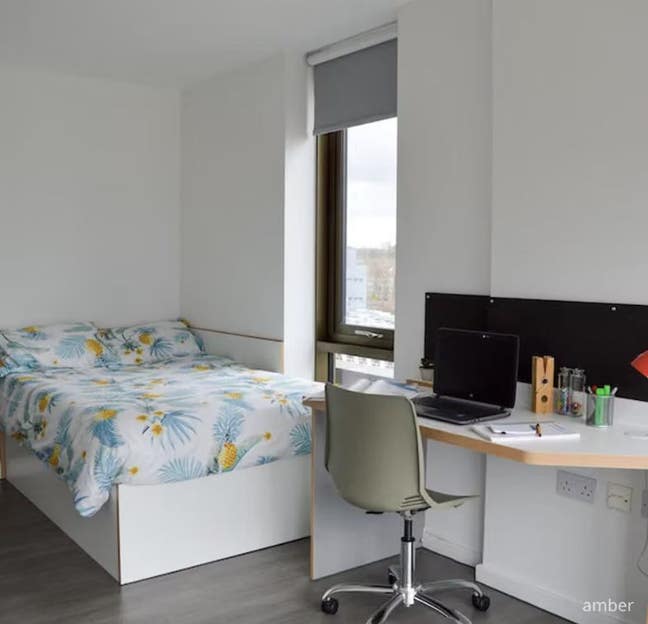 Byrom Point Gold Plus En-suite &pound;179/wk Main Photo