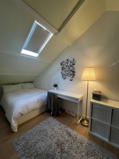 Spacious room in the Isle of Dogs Main Photo