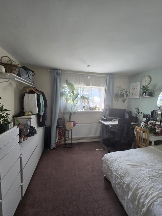 Spacious double room in West Hampstead Main Photo