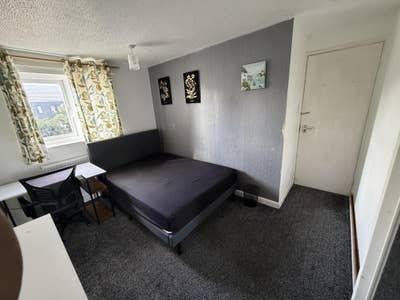 Double Room available in professional house Main Photo