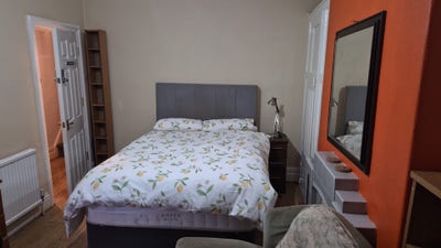 One large double room in a shared house - Main Photo