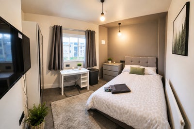 Double Room to Let Main Photo