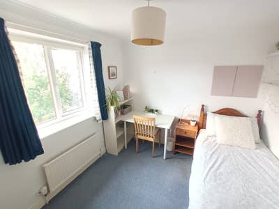  Double sized room in delightful Copmanthope  Main Photo