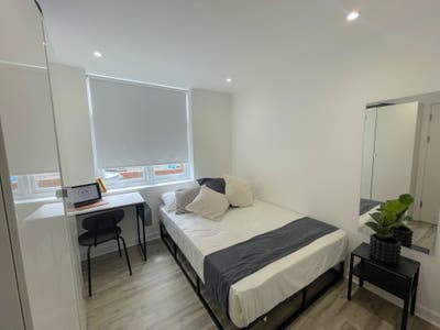 David Road - En suite room Main Photo