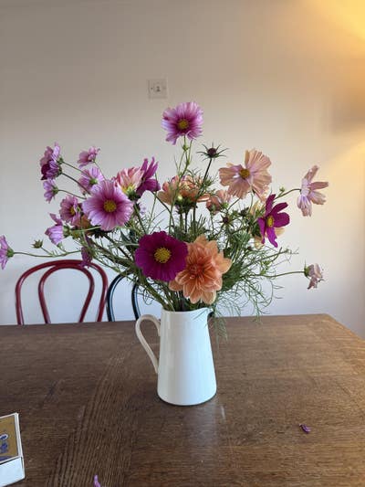 Looking for a lodger to join our home  Main Photo