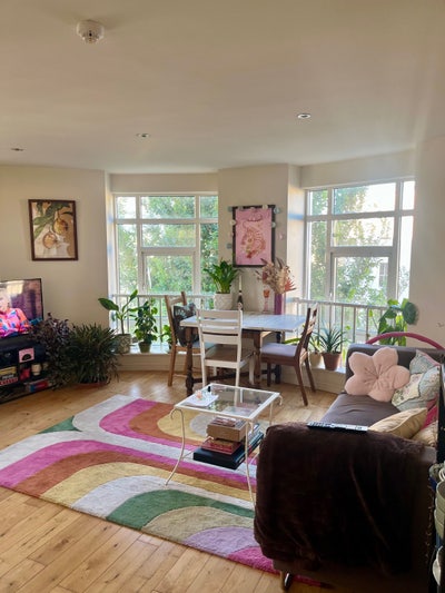 Double room to rent in Hove Main Photo