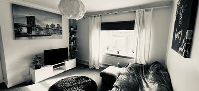 Monday–Friday Let – Comfortable Home & Friendly At Main Photo