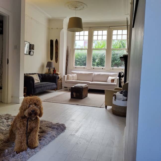Bright room in Crouch End family house -bills incl Main Photo