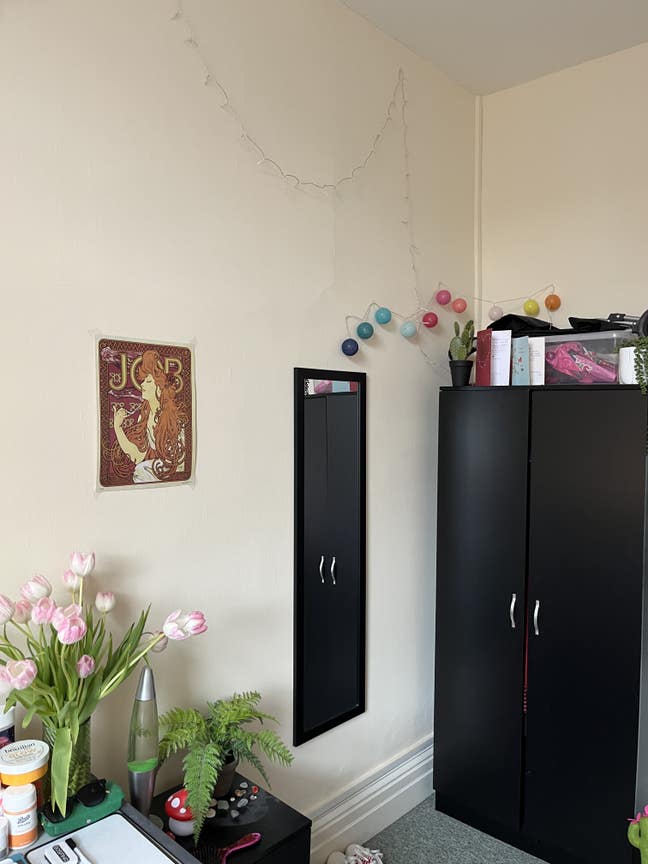 Female flatmate urgently needed! Main Photo