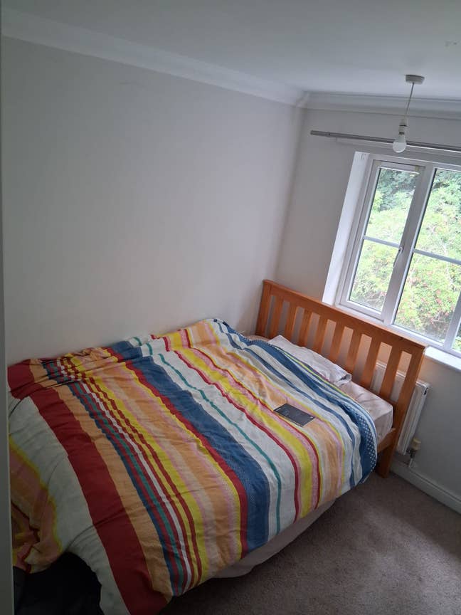 Double room in co-owned sociable home Main Photo