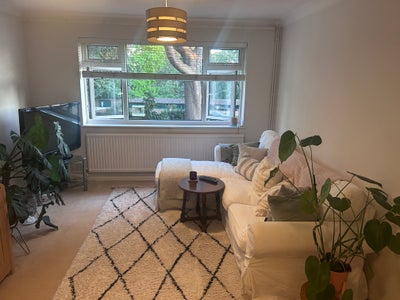 Spacious Double Room | Beckenham | Bills Incl. Main Photo