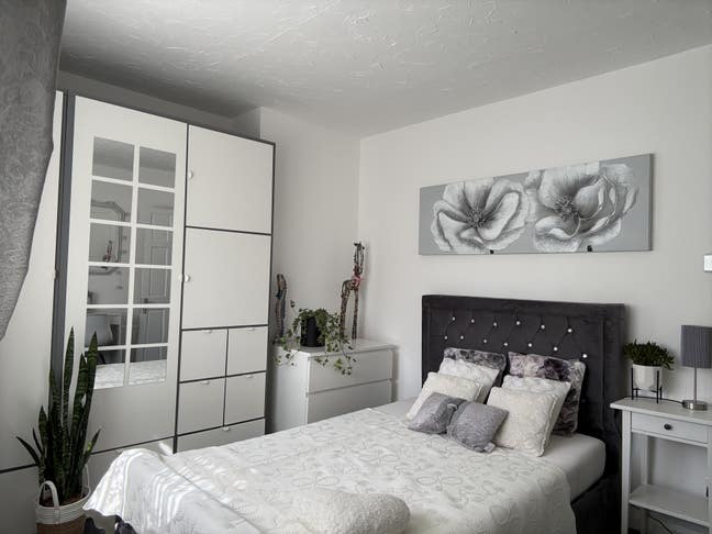 Large double room available  Main Photo