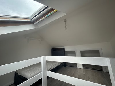 Single Room suitable for female  Main Photo