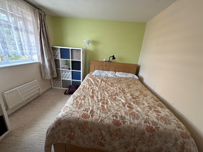 Double Room for Rent  Main Photo