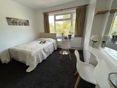 Beautiful Double Rooms near Westminster Uni 🏡 Main Photo