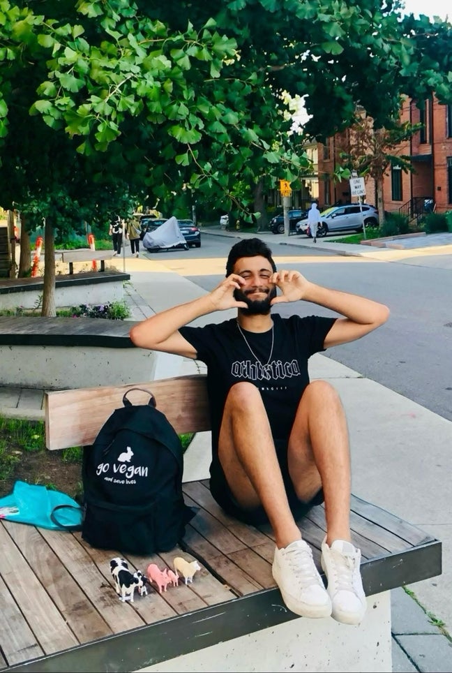 Looking for a vegan flatshare in London!  Main Photo