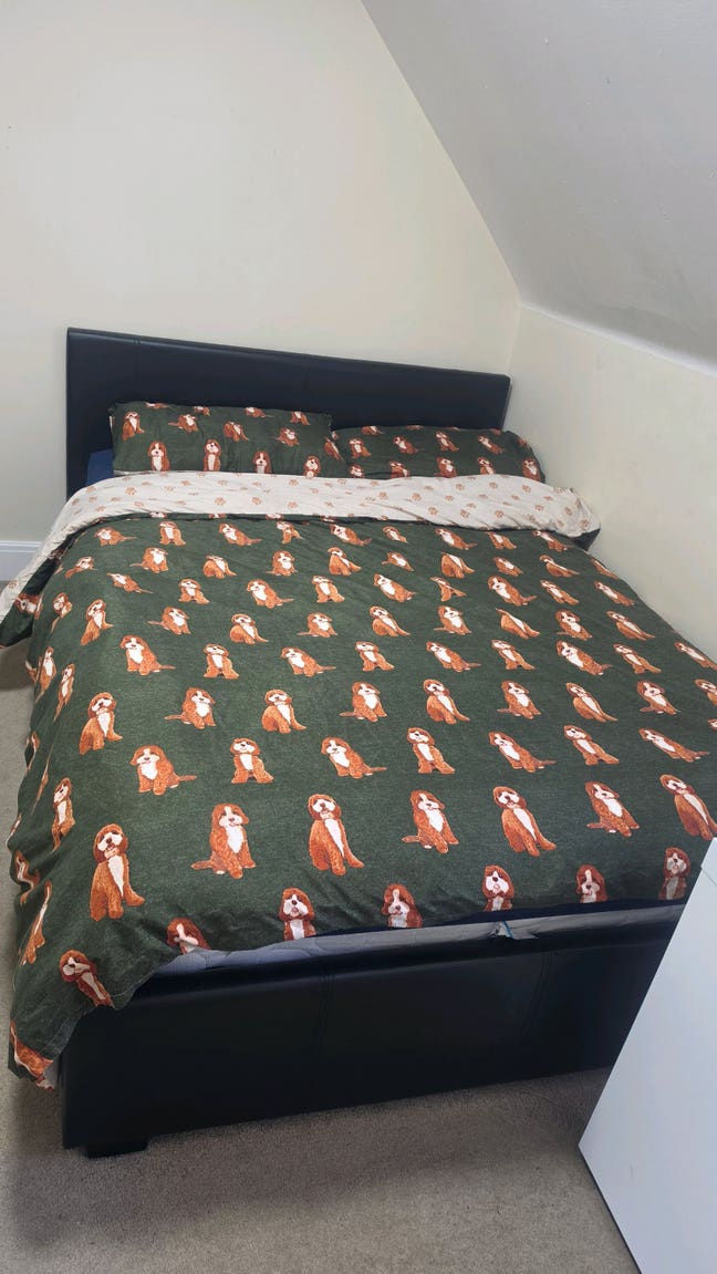 Double Room to Rent – Single Occupant Only Main Photo
