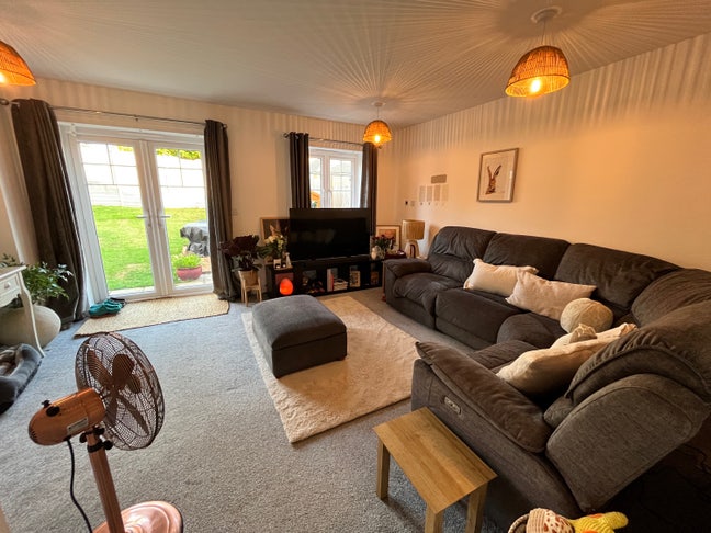 House share in Medstead (Alton) Pet lovers welcome Main Photo