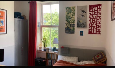Looking for a friendly STUDENT flatmate  Main Photo