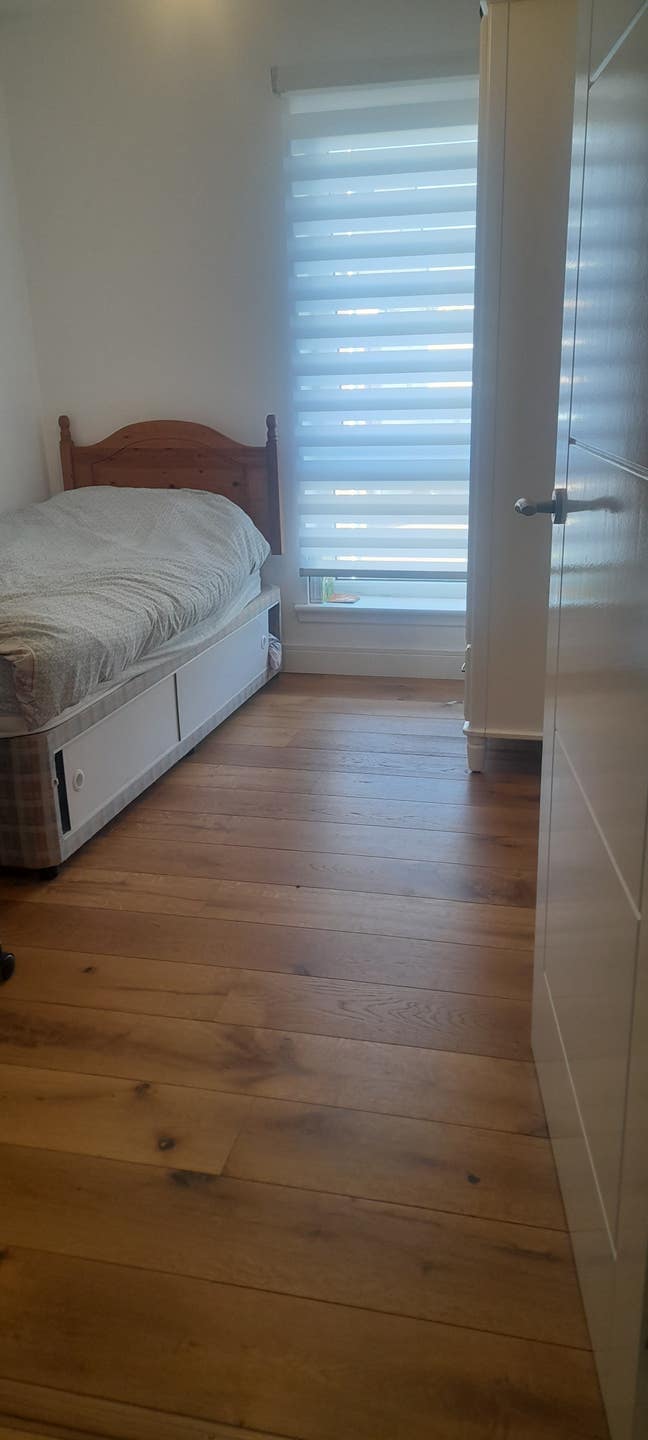 Single room for Female  Main Photo