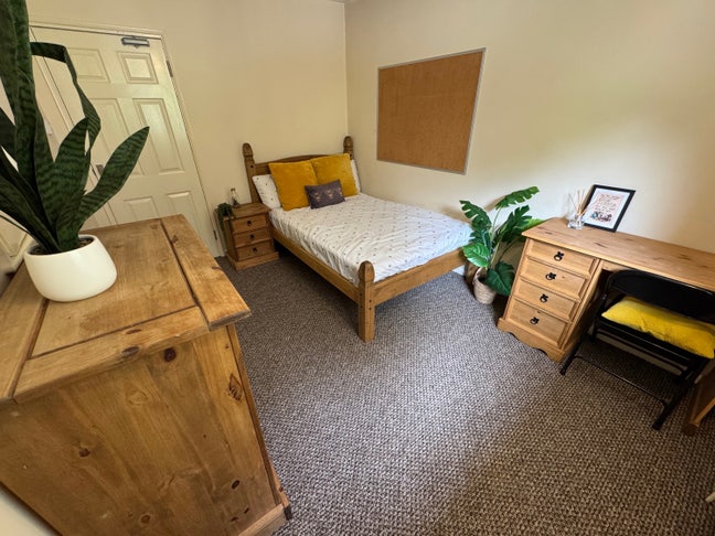Last Student Double Room Sharing with Females Main Photo