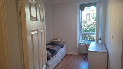 Single room in quiet tenement flat near UofG Main Photo