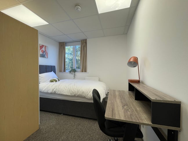 Modern Ensuite Bedsit Available  Main Photo