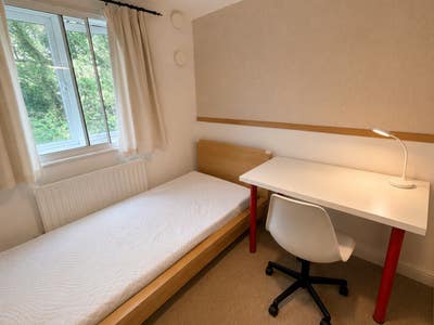 Single Room & Private Bathroom, Hatfield Main Photo