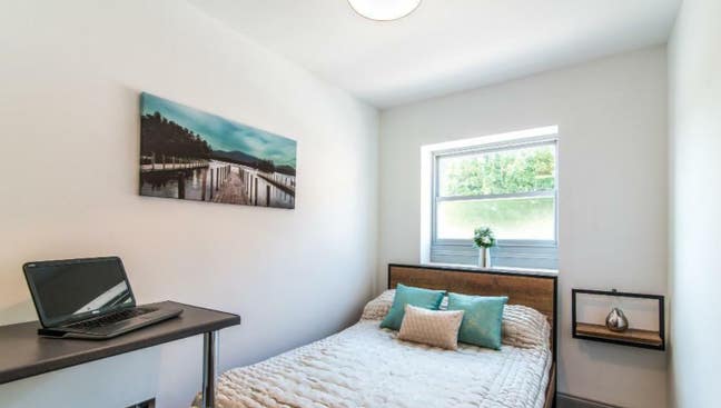 Rare find student house share - not to be missed!! Main Photo