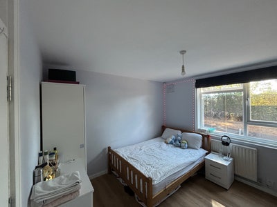 Looking for a third flatmate in Streatham 🏡 Main Photo