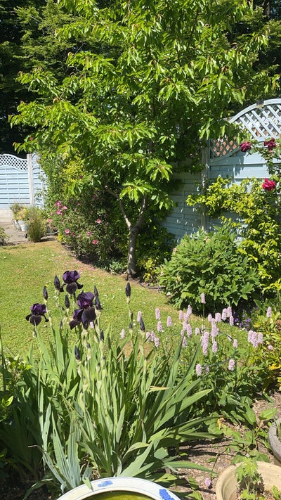 En-suite double room overlooking garden on 1st fl Main Photo
