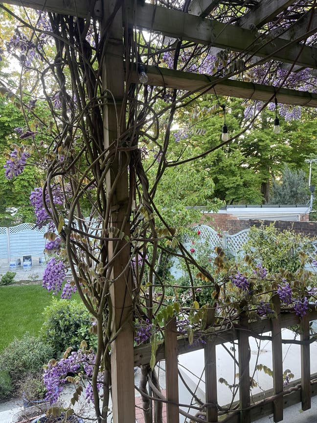 En-suite double room overlooking garden on 1st fl Main Photo