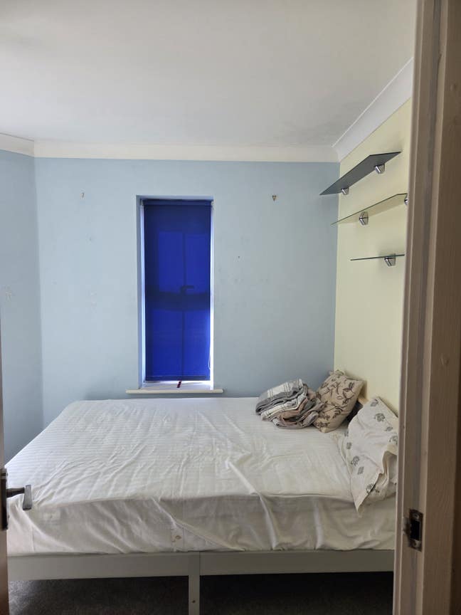 Immidiately room available  Main Photo