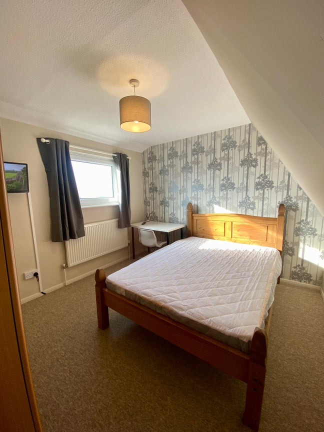 Double in Luxurious Professional Home Main Photo