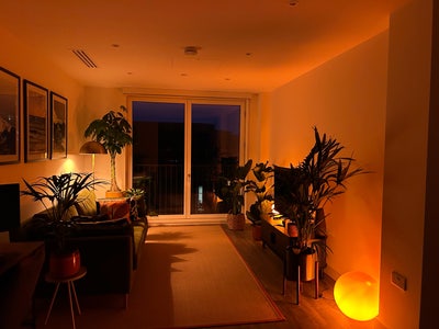 Double Room with bathroom in brand new apt in Anc  Main Photo