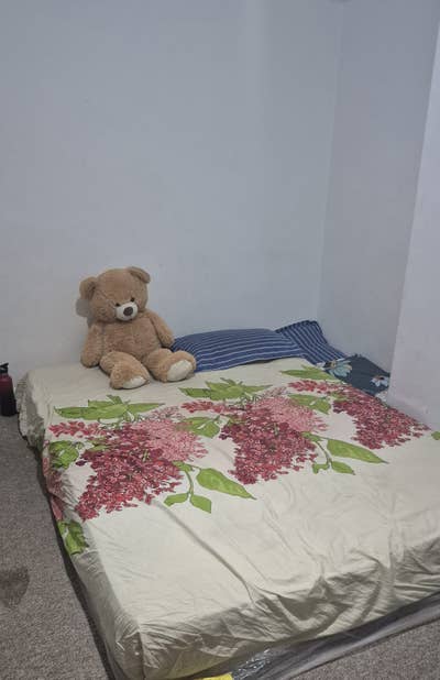 Eithwr ofTwo rooms available  Main Photo