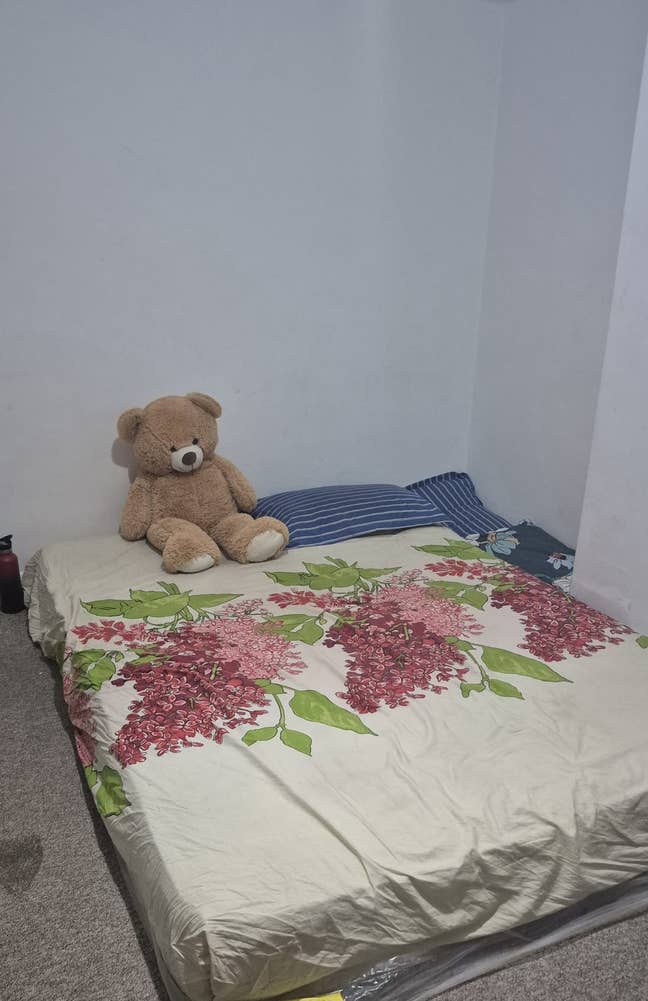 Eithwr ofTwo rooms available  Main Photo
