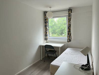 Single Room to Let, Southern Grove, Mile End Main Photo