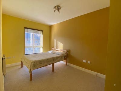 Bright Single-Occupancy Room with Double Bed Main Photo
