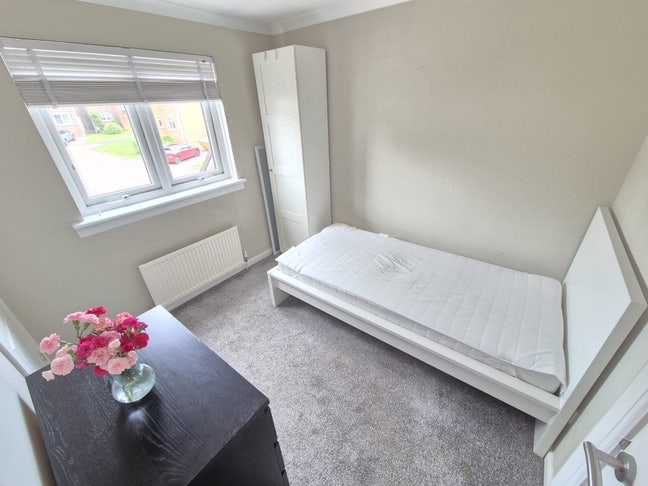 Double Room -Female Lodgers Only Main Photo