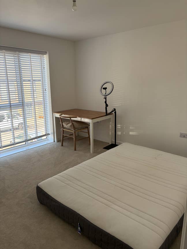 Double Room in Home with 2x Lovely Dogs & Owner Main Photo