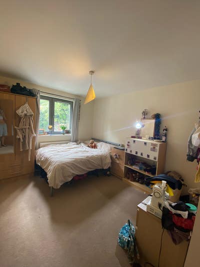 Room in 3 bed flat just off leith walk  Main Photo