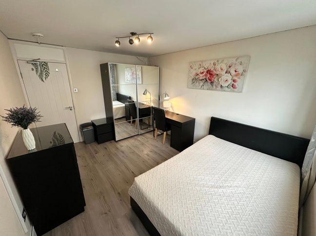 🏡 2 Rooms in Modern 5 Bed, 2 Baths = Now/Sept Main Photo