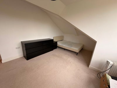 Extremely large room for rent  Main Photo