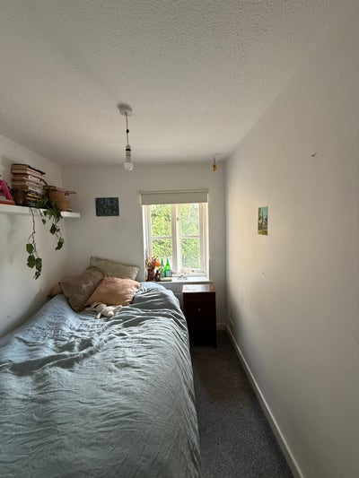 Room in Stoke Newington available. Main Photo